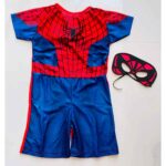 Fantasia Homem Aranha