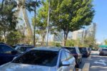 Motorista particular para casamento em São Paulo - Imagem 2