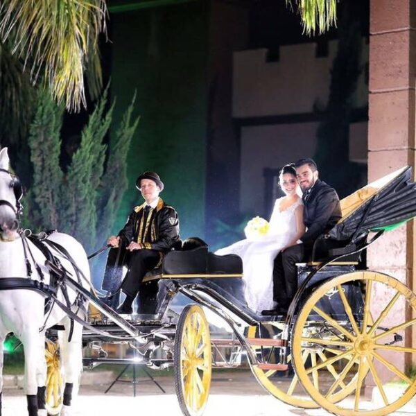 Casal de noivos em uma carruagem preta com rodas douradas, puxada por um cavalo branco, com um cocheiro uniformizado.