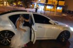 Transporte de Luxo para Casamento - Imagem 53
