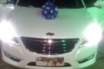 Transporte de Luxo para Casamento - Imagem 69