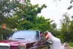 Aluguel de Mercedes antiga para casamento em SP | Klemm Clássicos - Imagem 13