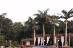 Aluguel de Mercedes antiga para casamento em SP | Klemm Clássicos - Imagem 40