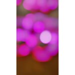 80 Forminhas Doces Finos Flor Luxo Casamento Aniversario