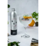 BEG Brazilian Boutique Refil - 500 mL ( London Dry Gin )