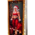 Capa De Porta Decorativa Natal P/banheiro Feminino Academia Decoração Natalina Em Tecido 0,85x2,10m Veste Fácil