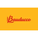 Chocotone Maxi Mousse Coberto Com Chocolate Bauducco 450g