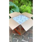 Copo Plastico Descartavel 200ml Agua Ps Caixa 2500un