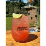 Gin BEG Brazilian Boutique - London Dry 750ml