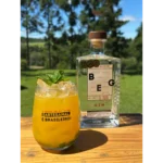 Gin BEG Brazilian Boutique - London Dry 750ml