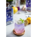 Gin BEG Modern & Tropical 750ml