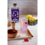 Gin BEG Modern & Tropical 750ml