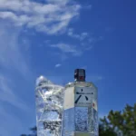 Suntory Ruko Gin Super Premium - 700 mL - Unidade - 1