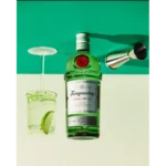 Gin Tanqueray London Dry 750ml