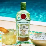 Gin Tanqueray Rangpur Lime 700ml
