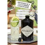 Hendrick's Gin Hendricks 750 ml - 750 mL - Unidade - 1