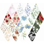 Kit 30 Envelopes Bico + Forro + Lacres De Cera Azul Serenity