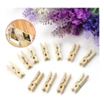 Kit 120 Mini Prendedor Pregador Colorido Natural Drink Tag