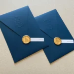 Kit 30 Envelopes Bico Com Relevo Pers+lacres De Cera Padrão