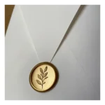 Kit 30 Envelopes Bico + Lacres De Cera Padrão + Tag