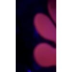 Kit Óculos Coloridos 50un Divertido Festa Balada Sortidos