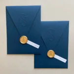 Kit 80 Envelopes Bico Com Relevo Pers+lacres De Cera Padrão