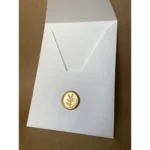 Kit 30 Envelopes Bico + Lacres De Cera Padrão