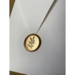 Kit 30 Envelopes Bico + Lacres De Cera Padrão