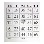 Bingo Free Jornal 100 Folhas - 15 Unidades