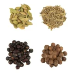 Kit Expert do Gin Tônica BR Spices 40g