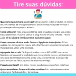 Lançador Chá Revelação Papel E/ou Pó - Aciona Elétrico