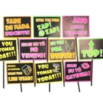 10 Plaquinha Divertida Festa Balada Neon Casamento 15 Anos