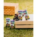 Suco De Uva Integral Juq 200ml Caixa C/24 Un