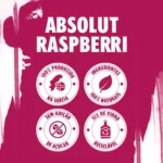 Vodka Destilada Saborizada Raspberri Absolut Garrafa 750ml