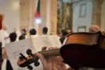 Violino