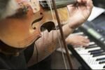Violino